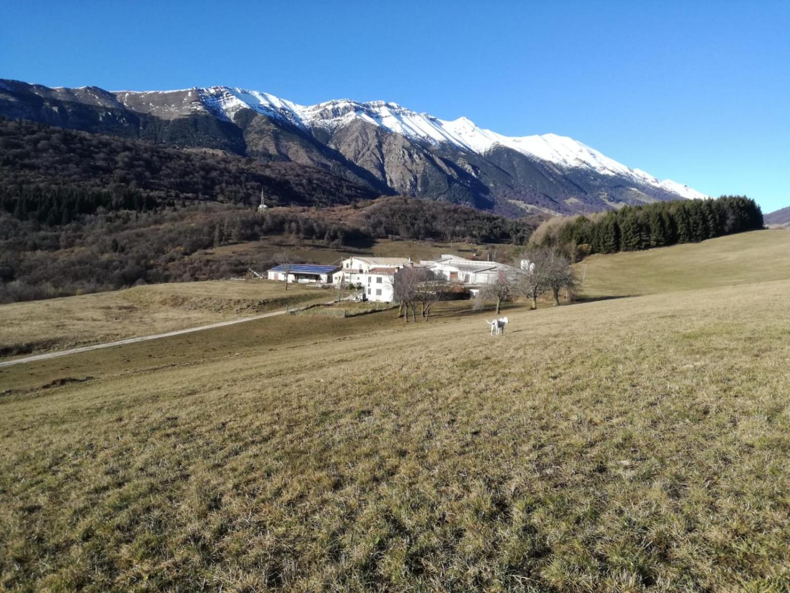 Agriturismo Preele Villa Ferrara di Monte Baldo Eksteriør bilde